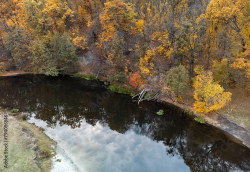 Aerial autumn river shore with vibrant golden trees forest in Ukraine
