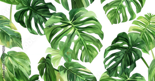 A painting of a leafy green plant with a white background