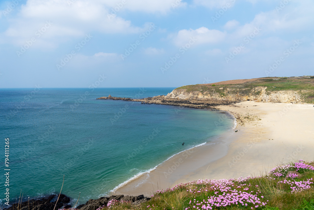 Une vue pittoresque dévoile une plage de sable bordée de falaises, où les arméries maritimes aux fleurs roses ajoutent une touche de couleur, tandis que les eaux turquoises captivent le regard. Une vue pittoresque dévoile une plage de sable bordée de falaises, où les arméries maritimes aux fleurs roses ajoutent une touche de couleur, tandis que les eaux turquoises captivent le regard.