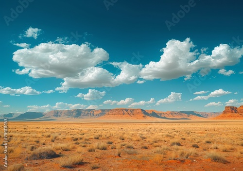 Arid desert landscape with blue sky and white clouds