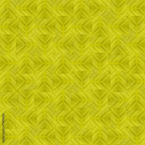Green plant leave closeup motif pattern