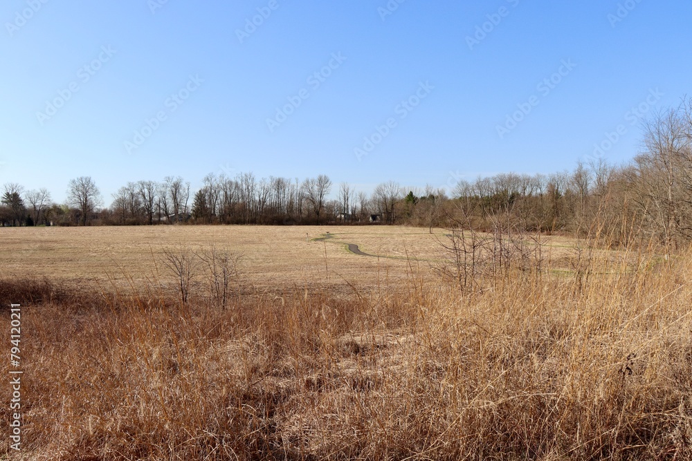 The grass field in the countryside on a sunny day.