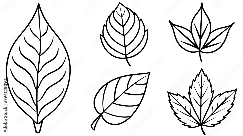 set of leaves isolated