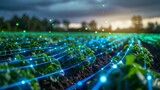 The potato plants are growing in a smart farm field. There is a network of blue lights connecting the plants.