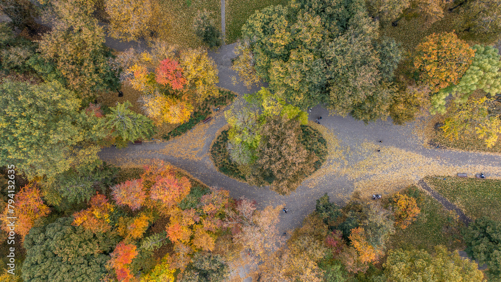A colorful autumn A colorful autumn
