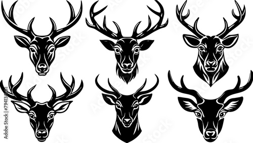 black and white deer photo
