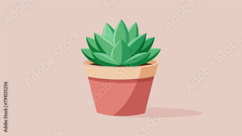 A potted succulent plant adding greenery to any space without the need for constant watering.