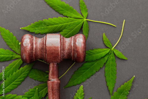 Marijuana and judge's gavel, concept of rights and law
