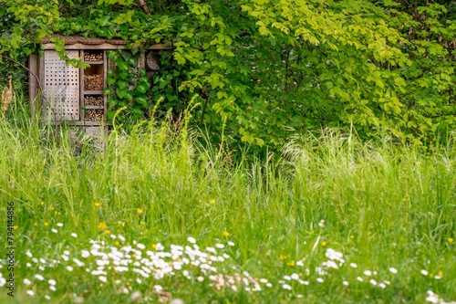 One wooden insect house in the garden. Bug hotel at the park with plants.