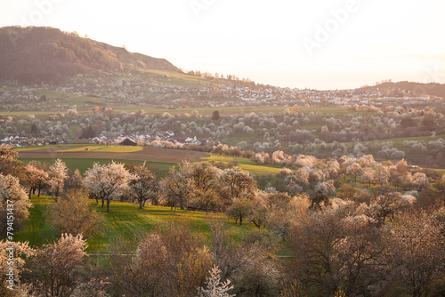 Kohlberg, Baden-Wuerttemberg, Germany: Village Kohlberg, Jusi mountain. Orchard meadow near Beuren, Swabian Alb at sunset.