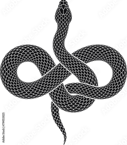 Vector illustration of snake intertwined in shape of infinity sign. Isolated tattoo design of black serpent silhouette of endless symbol.