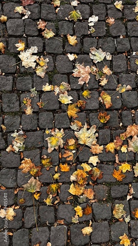 Walking around Prague 