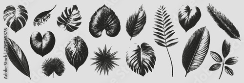 Set of elements with a retro photocopy effect. Realistic tropical leaves with a grain effect. Modern vector illustration.