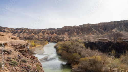 a river in a sandy canyon. A green oasis in the canyon