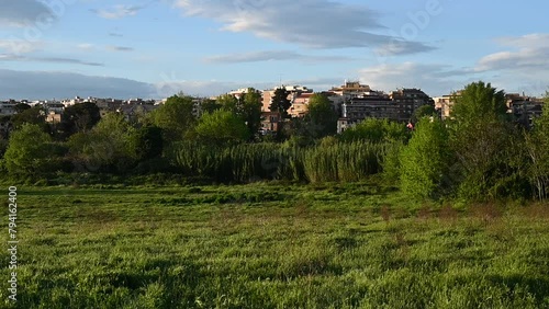 buildings seen from the caffarella park  photo