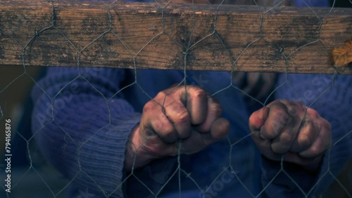 Hands of dirty desperate person behind a wire fence photo