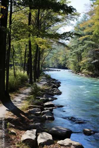 river in the forest.