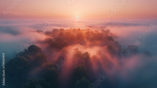 A foggy forest with a sun in the sky photo