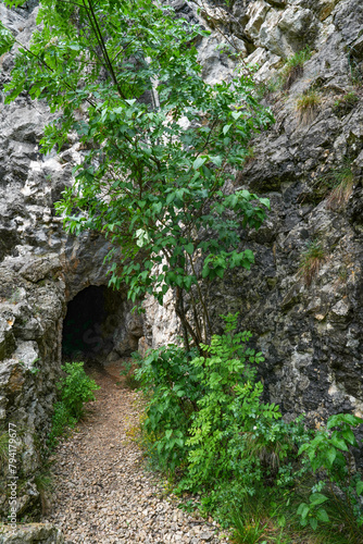 Stone carved tunnel in Nerei Gorges Natural Park, Romania, Europe © Rechitan Sorin