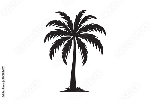 Silhouette of Palm tree Vector  Palm tree silhouette