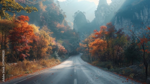A road with trees on both sides and a beautiful autumn landscape. The road is wet and the leaves are falling