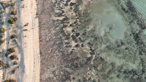 Aerial of Stromatolites in Hamelin Pool, Shark Bay, UNESCO World Heritage Site, Western Australia, Australia, Pacific