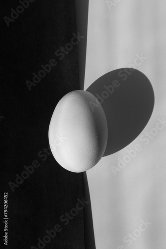 still life with egg