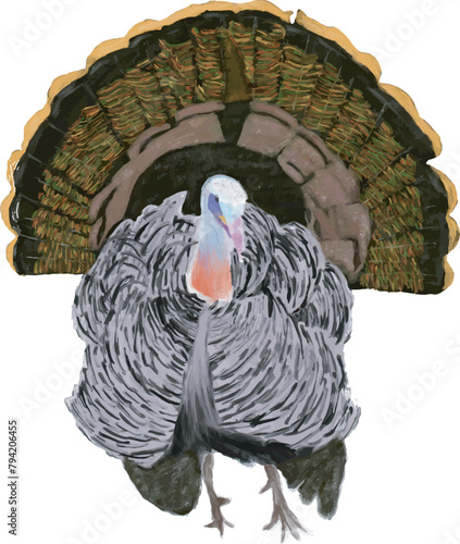 turkey watercolor
