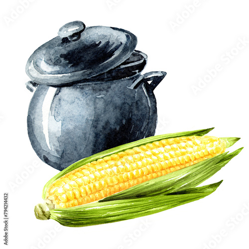 Boiled sweet corn. Hand drawn watercolor illustration, isolated on white background (ID: 794214432)