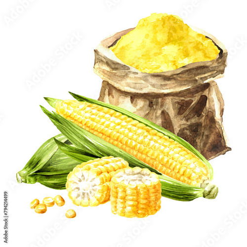 Corn flour and fresh corn comb. Hand drawn watercolor illustration, isolated on white background (ID: 794214499)