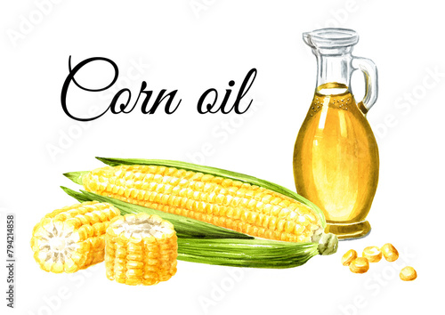 Glass bottle with corn oil and Fresh sweetcorn cob.  Hand drawn watercolor illustration isolated on white background (ID: 794214858)