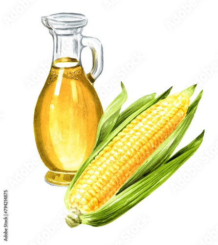 Glass bottle with corn oil and Fresh sweetcorn cob. Hand drawn watercolor illustration isolated on white background (ID: 794214875)