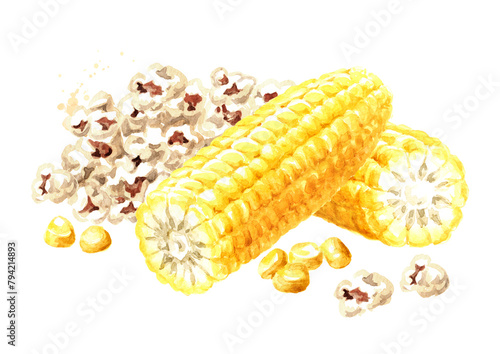 Popcorn and fresh corn comb.  Hand drawn watercolor illustration isolated on white background (ID: 794214893)