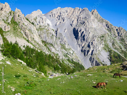 Horses grazing on alpine pasture with scenic view of Rocca La Meja at rifugio della Gardetta on Italy French border, Maira valley, Cottian Alps, Piedmont, Italy, Europe. Sunny summer day in mountains