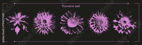 Set of flowers with a retro photocopy effect. Flowers, chamomile, aster, with a grain effect. A modern Y2K illustration.