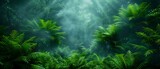 Lush green forest with wet palms ferns and fog in digital art. Concept Nature, Digital Art, Forest, Wilderness, Foggy Landscapes