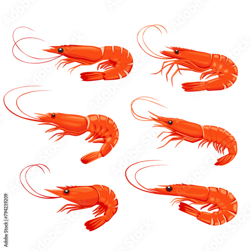 Shrimp icon. Boiled Prawn in shell on a white background. Realistic vector illustration