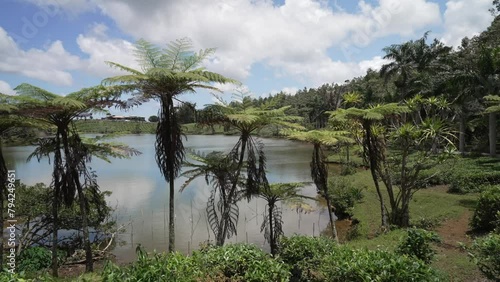 View of Bois Cheri Tea plantation, Savanna District, Mauritius, Indian Ocean, Africa photo