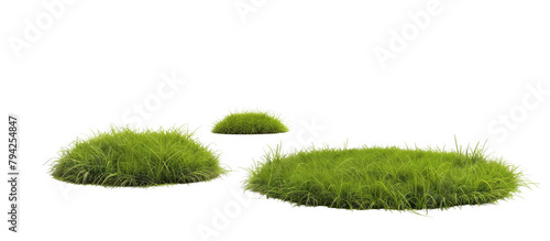 Series of grass circles decreasing in size, used in a modern landscape design to create optical illusions, isolated on transparent background photo