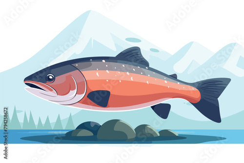 Salmon fish - vector illustration