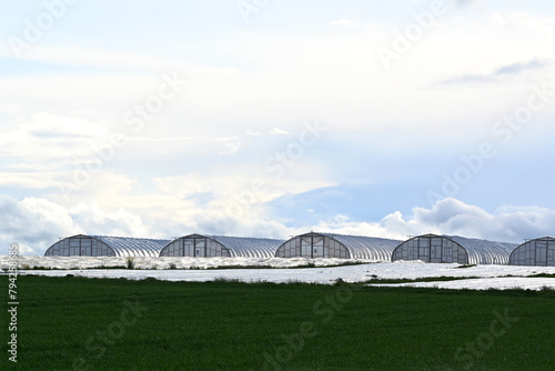 Greenhouse for plantation asparagus, strawberries or lettuce. Glasshouse cultivation agriculture to harvest vegetables farmer.