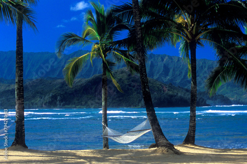 Relaxing Tropical Day in Paradise  Hawaii