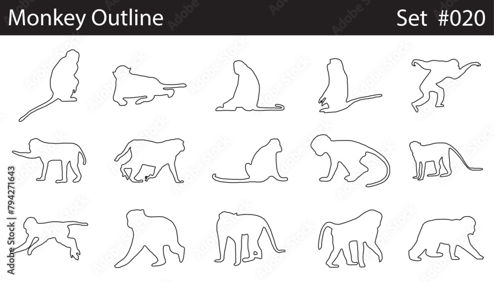 Minimal style monkey line drawing, Side view, set of graphics monkeys elements outline symbol for architecture and landscape design drawing. Vector illustration in stroke fill in white. Minimal style monkey line drawing, Side view, set of graphics monkeys elements outline symbol for architecture and landscape design drawing. Vector illustration in stroke fill in white.