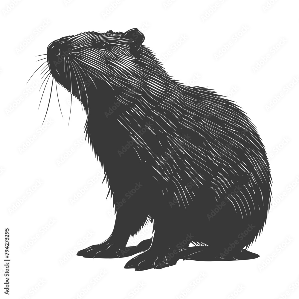 Silhouette capybara animal black color only full body Silhouette capybara animal black color only full body