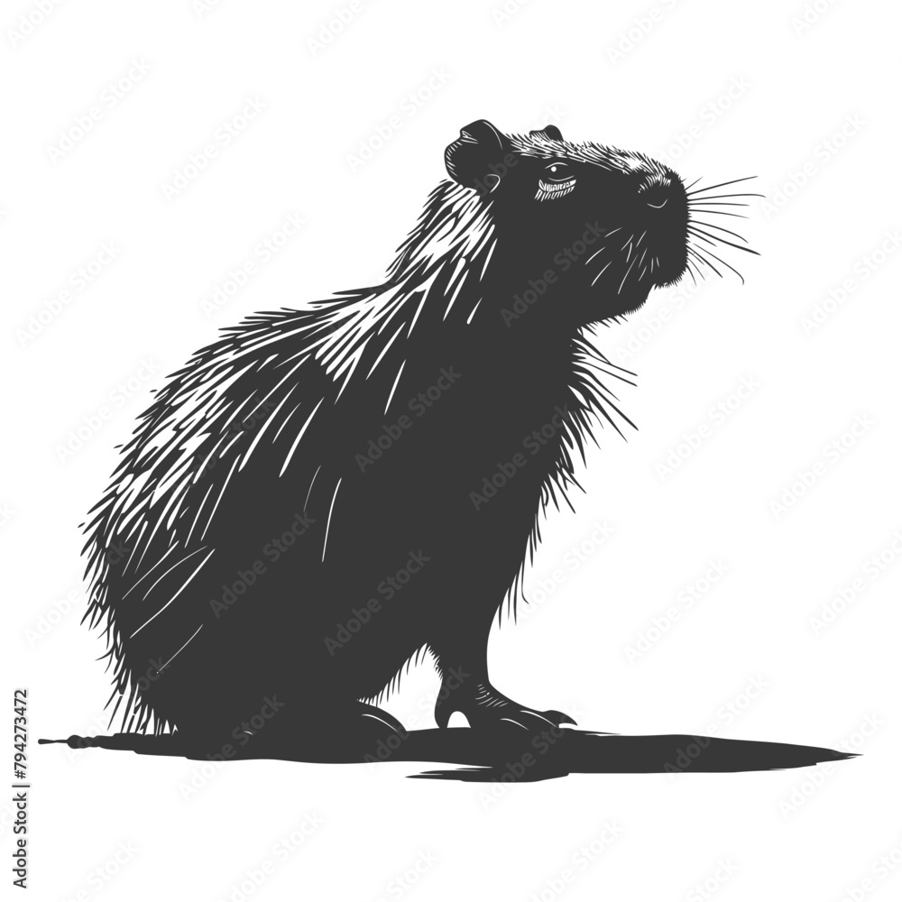Silhouette capybara animal black color only full body Silhouette capybara animal black color only full body