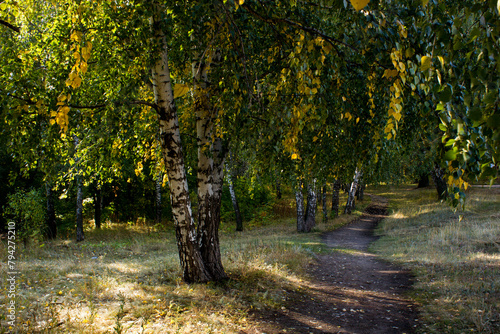 Vinnovskaya Grove in autumn, the path photo