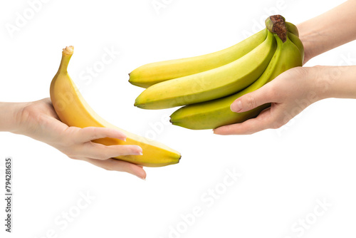 A bunch of bananas in woman hand isolated on white background.