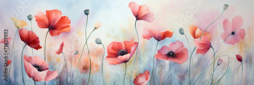 Red poppies watercolor painting. Delicate illustration of red poppies. Aquarelle paper texture visible.