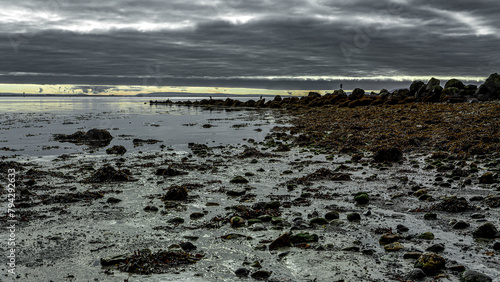 Low Tide