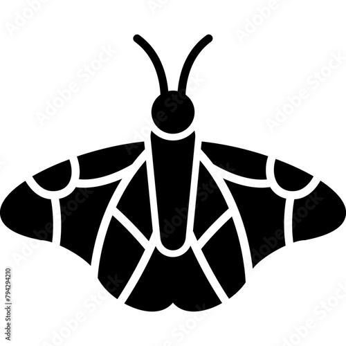 Butterfly Icon